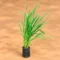 Lemongrass Plant for Home Gardens, Herbal Tea, and Fresh Aroma - Image 3