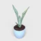 Sansevieria Moonshine White – Elegant Silver-Green Indoor Plant - Image 2