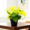 Neon Pothos Plant for Indoor Decoration and Vibrant Greenery - Image 4
